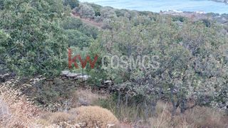 Οικόπεδο 2.460 τ.μ. για πώληση, Κυκλάδες, Άνδρος-thumb-10