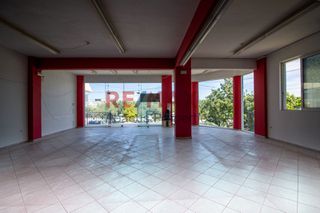 Κατάστημα 250 τ.μ. προς ενοικίαση, Ζαρούχλα-thumb-15