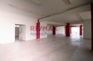 Κατάστημα 250 τ.μ. προς ενοικίαση, Ζαρούχλα-thumb-10