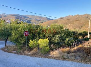 Οικόπεδο 727 τ.μ. για πώληση, Αττική - Υπόλοιπο, Πικέρμι-thumb-6