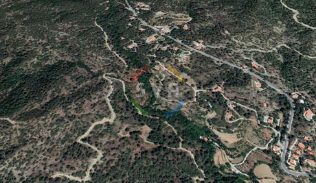 Αγροτεμάχια 6.355τ.μ. για πώληση-