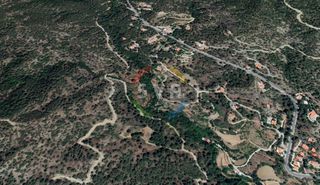 Αγροτεμάχια 6.355 τ.μ. για πώληση