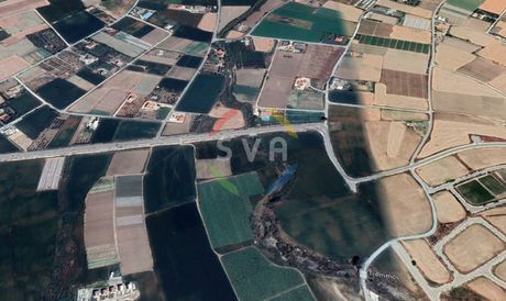 Αγροτεμάχια 7.805τ.μ. για πώληση-Σοφτάδες