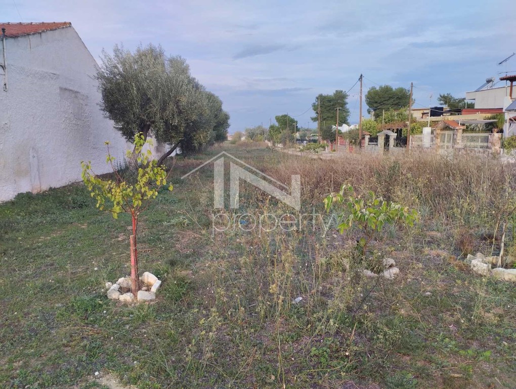 Οικόπεδο 4.200 τ.μ. προς πώληση, Σαλαμίνα
