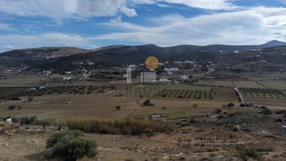 Αγροτεμάχια 5.386,50 τ.μ. για πώληση