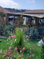 Bungalow 150 τ.μ. για πώληση, Λεμεσός-thumb-1