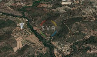 Αγροτεμάχια 12.040 τ.μ. για πώληση