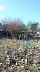 Αγροτεμάχια 2.000 τ.μ. για πώληση, Πάφος-thumb-1