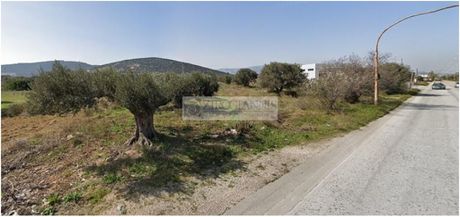 Αγροτεμάχια 6.930 τ.μ. για πώληση