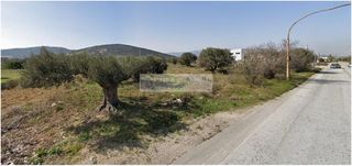 Αγροτεμάχια 6.930 τ.μ. για πώληση
