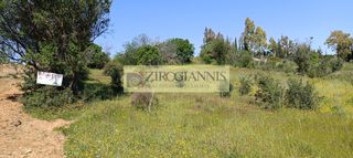 Αγροτεμάχια 2.525 τ.μ. για πώληση