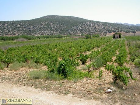 Αγροτεμάχια 2.390 τ.μ. για πώληση