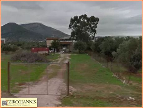 Land plot 3.500sqm for sale-Kalivia Thorikou
