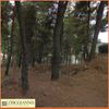 Land plot 800sqm for sale-Dionisos