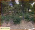 Land plot 1.540sqm for sale-Dionisos