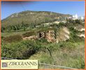 Land plot 808sqm for sale-Dionisos