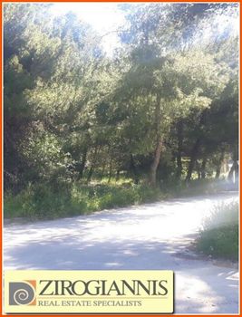 Οικόπεδο 1.615τ.μ. για πώληση-Διόνυσος