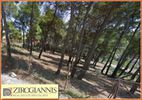 Land plot 590sqm for sale-Agios Stefanos