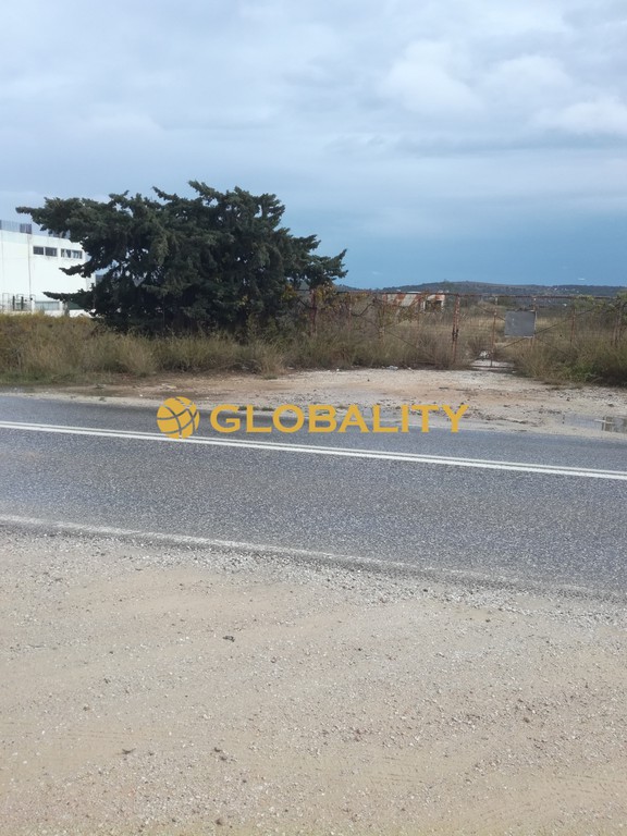 Οικόπεδο 15.495 τ.μ. προς πώληση, Σπάτα