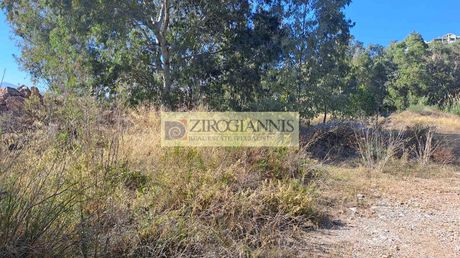 Οικόπεδο 2.100τ.μ. για πώληση-Μαραθώνας