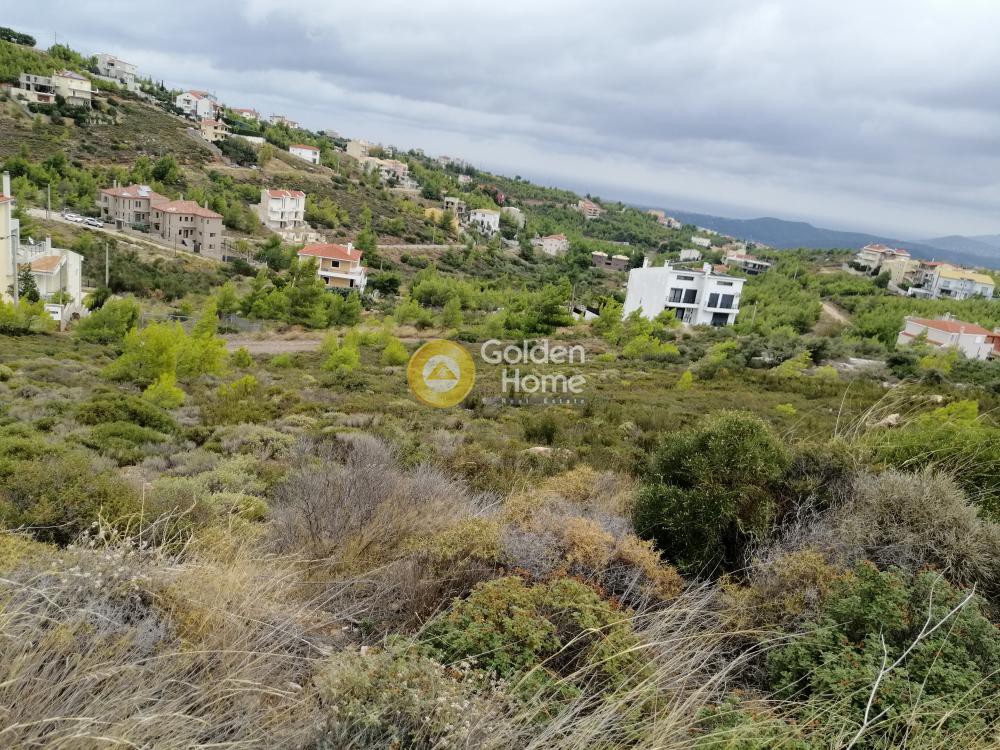 Οικόπεδο 1.000 τ.μ. πρός πώληση, Αττική - Υπόλοιπο, Πικέρμι