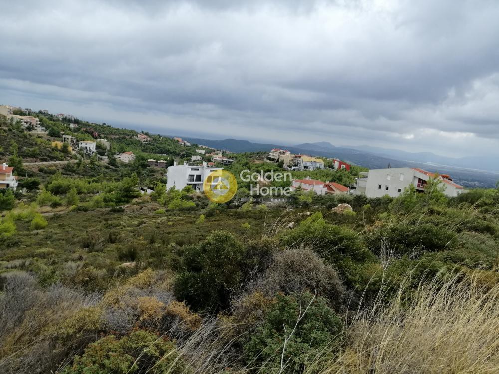 Οικόπεδο 1.000 τ.μ. πρός πώληση, Αττική - Υπόλοιπο, Πικέρμι