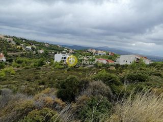 Οικόπεδο 1.000 τ.μ. για πώληση