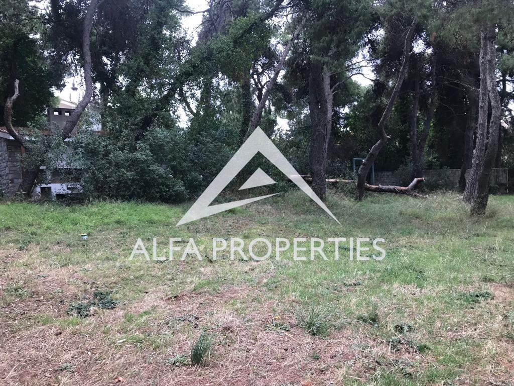 Οικόπεδο 3.500 τ.μ. πρός πώληση, Αθήνα - Βόρεια Προάστια, Εκάλη