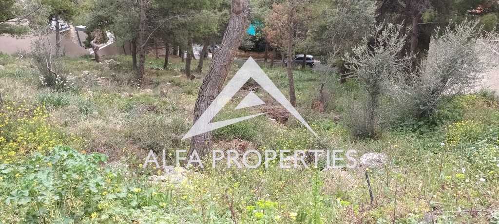 Οικόπεδο 1.465 τ.μ. πρός πώληση, Αθήνα - Βόρεια Προάστια, Κηφισιά