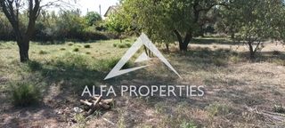 Οικόπεδο 1.041 τ.μ. για πώληση