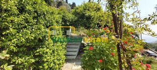 Διαμέρισμα 122 τ.μ. για πώληση, Κυκλάδες, Άνδρος-thumb-20