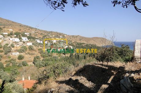 Οικόπεδο 1.405τ.μ. για πώληση-Άνδρος