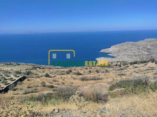 Αγροτεμάχια 9.877,58 τ.μ. για πώληση