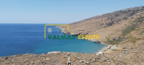 Αγροτεμάχια 9.305 τ.μ. για πώληση