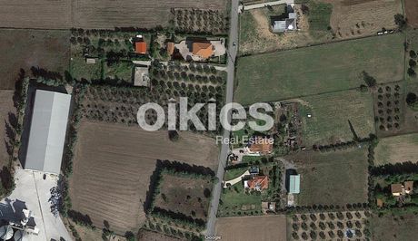 Αγροτεμάχια 4.128τ.μ. για πώληση-Επανομή