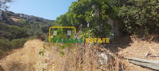 Οικόπεδο 1.500 τ.μ. για πώληση, Κυκλάδες, Άνδρος-thumb-3