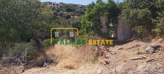 Οικόπεδο 1.500 τ.μ. για πώληση, Κυκλάδες, Άνδρος-thumb-8