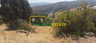 Οικόπεδο 1.500 τ.μ. για πώληση, Κυκλάδες, Άνδρος-thumb-16