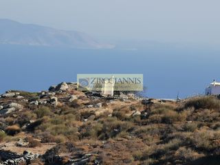 Αγροτεμάχια 3.700 τ.μ. για πώληση