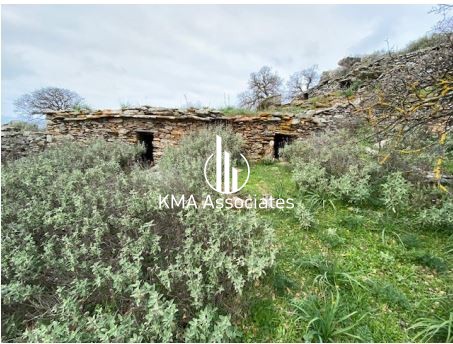 Αγροτεμάχια 10.941 τ.μ. προς πώληση, Κάτω Μεριά