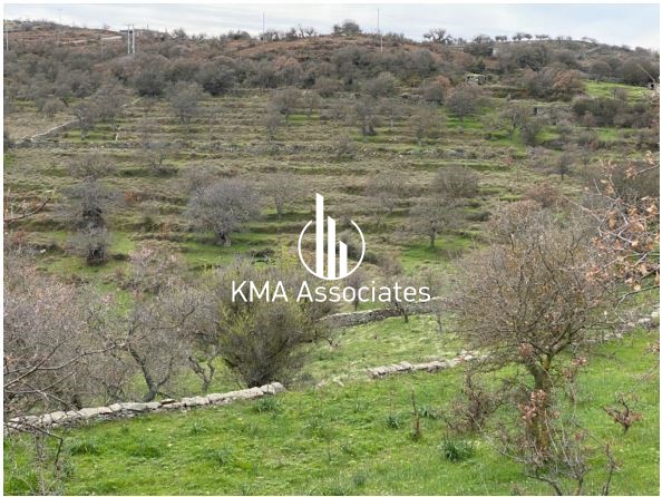 Αγροτεμάχια 16.597 τ.μ. προς πώληση, Καστανιές Κέας