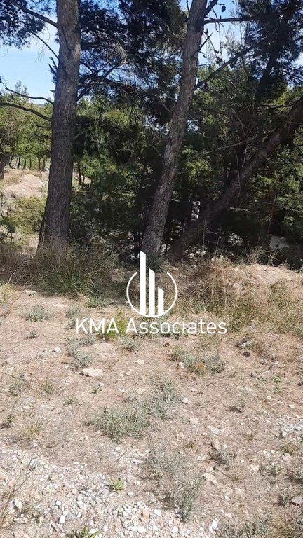 Οικόπεδο 2.000 τ.μ. προς πώληση, Διώνη Πικερμίου