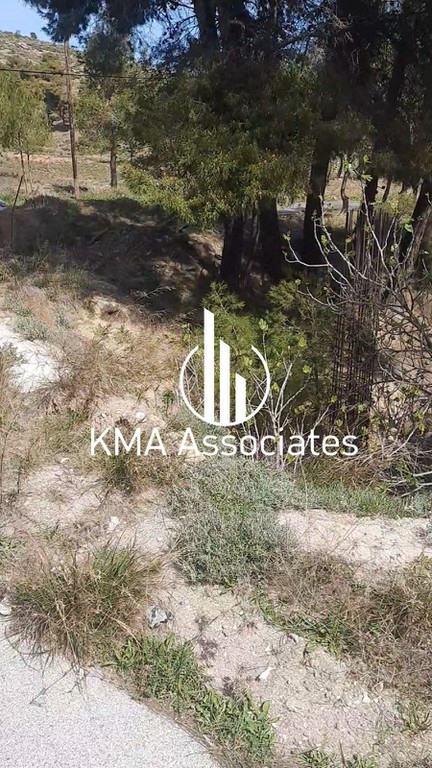 Οικόπεδο 2.000 τ.μ. προς πώληση, Διώνη Πικερμίου