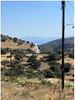 Αγροτεμάχια 4.924τ.μ. για πώληση-Κέα