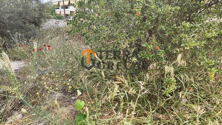 Οικόπεδο 500 τ.μ. για πώληση, Αττική - Υπόλοιπο, Λαύριο
