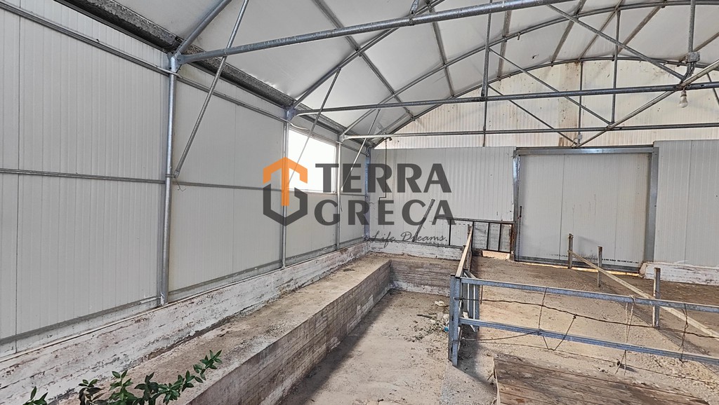 Αποθήκη 600 τ.μ. προς πώληση, Κέντρο Κορωπίου