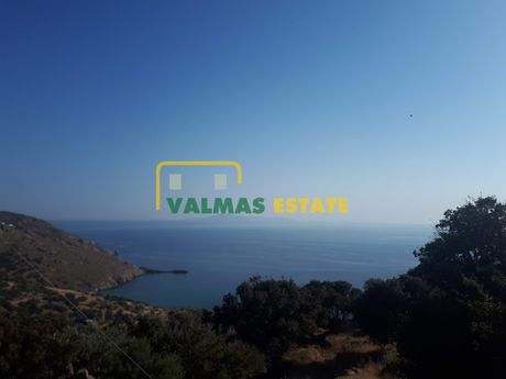 Μονοκατοικία 150τ.μ. για πώληση-Άνδρος