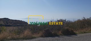 Αποθήκη 84 τ.μ. για πώληση, Κυκλάδες, Άνδρος-thumb-2