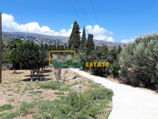 Μονοκατοικία 320 τ.μ. προς πώληση, Άνδρος-thumb-5