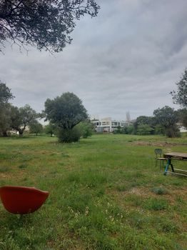 Οικόπεδο 10.000 τ.μ. για πώληση